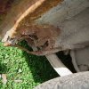 DSC01670_800x600