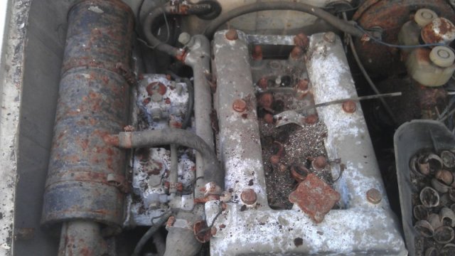 IMAG0351_800x451